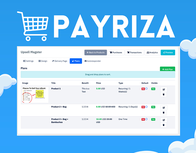 PayRiza checkout platform